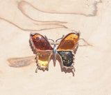 An eye-catching sterling silver amber butterfly brooch.   This brooch contains a variety of natural amber, a natural material made from the resin of trees. Set in sterling silver, the amber wings include cognac, honey, orange and green amber. 